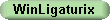 Der neue WinLigaturix
